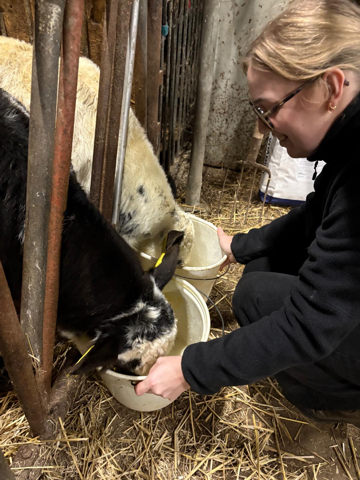 Nieuw Leven bij Puur Vleisj Boetiek – Mees en Kees
